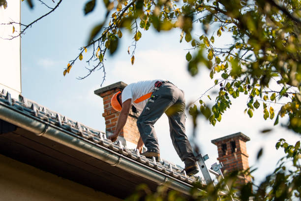 Best Slate Roofing Contractor  in Nebo, NC