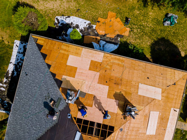 Best Roof Waterproofing Services  in Nebo, NC