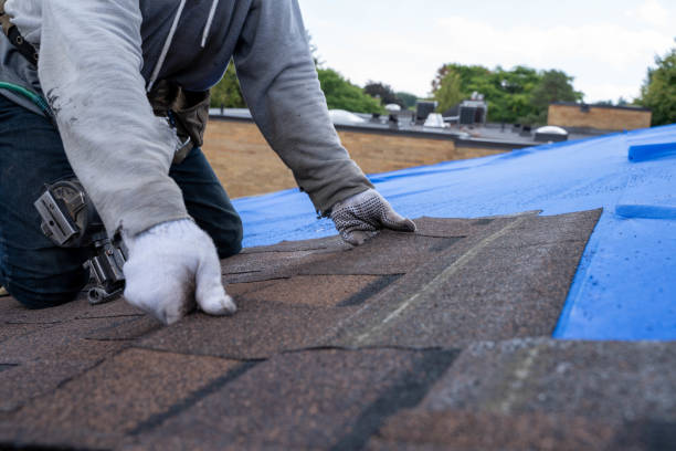 Best Commercial Roof Installation  in Nebo, NC