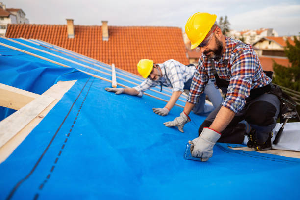 Best Roof Leak Repair  in Nebo, NC