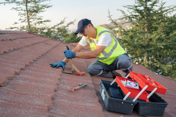 Best Roofing Contractor Near Me  in Nebo, NC